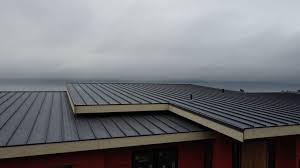 Sheet Metal Roofing in Martinez, CA